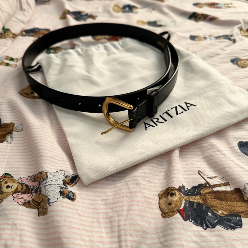 Aritzia Accent Belt
